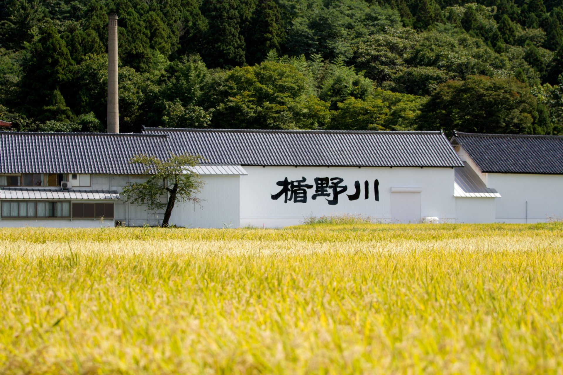 La maison de saké TATENOKAWA SHUZO