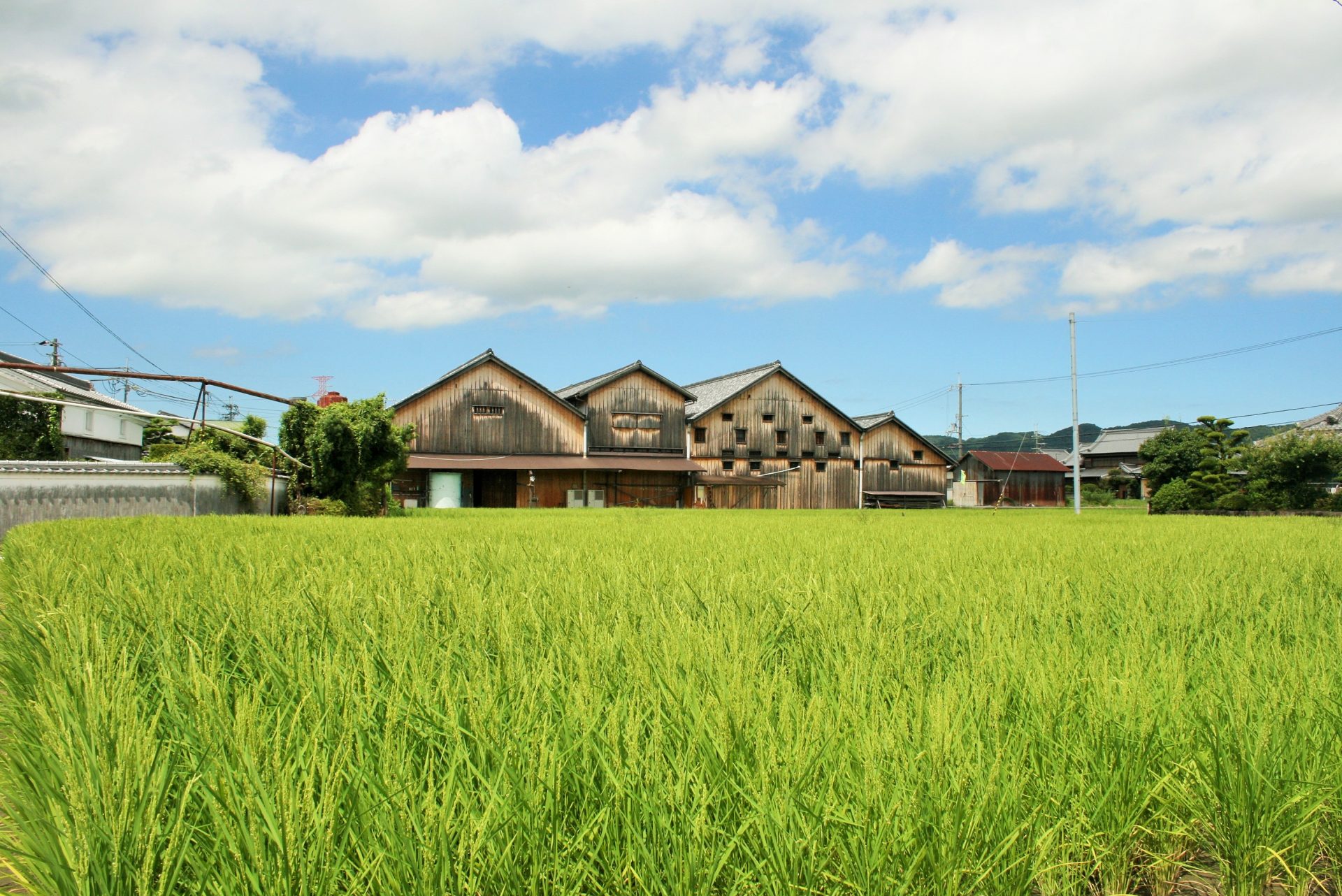 La maison de saké Yoshimura Hideo Shoten